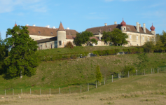 Schloss Weyerburg